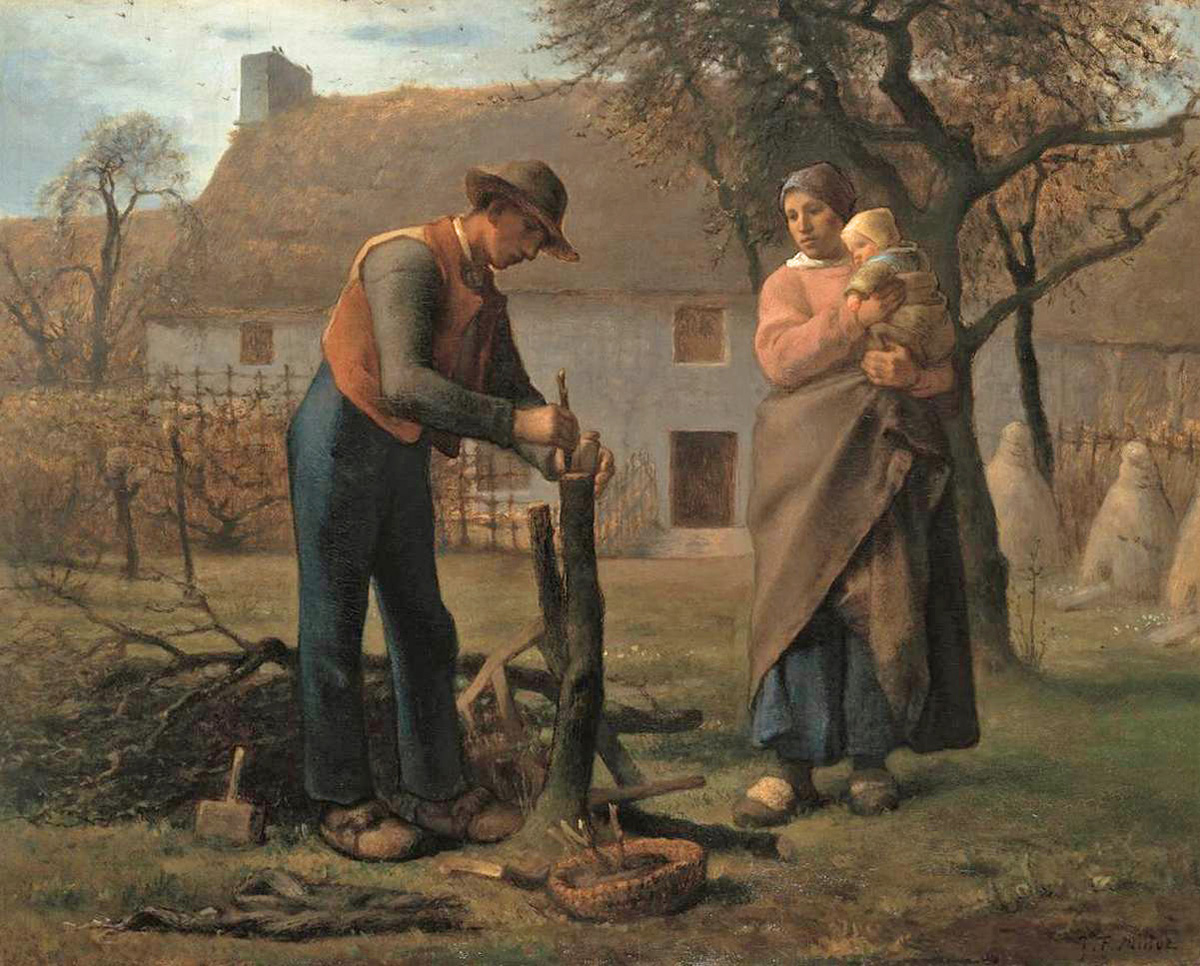 farmer inserting a graft on a tree
